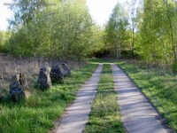 Parkfriedhof Marzahn Schleichweg