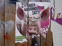 Niederschöneweide Hasselwerderstraße Plakat