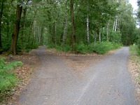 Königsweg Kurfürstenweg Düppeler Forst