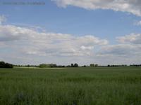 Landschaft Grüne Felder blauer Himmel