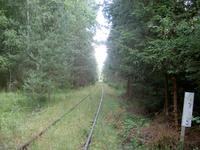 Gleise der Wriezener Bahn im Blumenthal