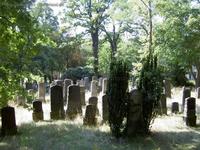 Jüdischer Friedhof auf dem Pfingstberg in Potsdam