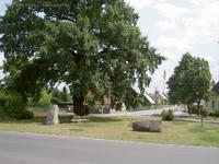 Obersdorf, Dorfplatz mit Dorfeiche