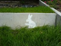 Follow the white rabbit