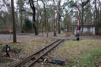 Berliner Parkeisenbahn Wuhlheide am Eichgestell