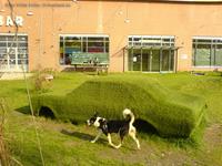 Rasenkunst mit Kunstrasen an der Arena Berlin am Flutgraben