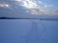 Tempelhofer Feld im Winter
