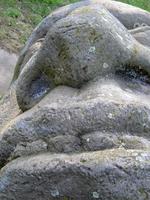 Der Kopf von Goliath Fennpfuhlpark