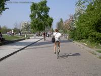 Radfahrer auf Schwedter Straße Mauerpark