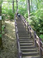 Treppe vom Rosengarten zur Humboldthöhe