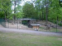 Bürgerpark Pankow