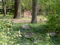 Gemeindefriedhof Marzahn