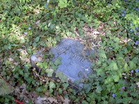 Gemeindefriedhof Marzahn