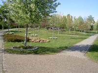 Marzahn Hochzeitzpark