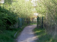 Naturschutzgebiet Unkenpfuhle Marzahn Schleichweg