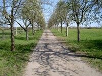 Falkenberg Zehnrutenweg