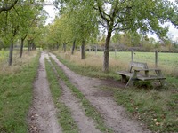 Falkenberg Zehnrutenweg und Barnimer Dörferweg