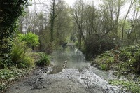 Kleingartenanlage Stallwiese Überschwemmung