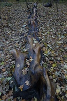 Treptower Park Holzskulptur