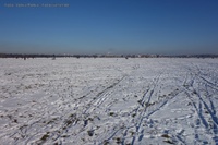 Tempelhofer Feld Schnee
