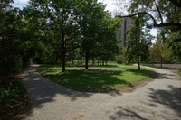 Wiese Wege Ernst-Thälmann-Park