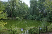 Teich Ernst-Thälmann-Park