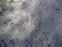 Sandweg mit Spuren Erpetal
