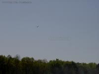 Graureiher fliegend Erpetal