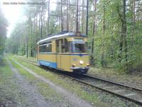 Woltersdorfer Straßenbahn im Berliner Forst
