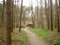 Der Löcknitztalwanderweg