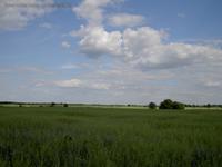 Landschaft Grüne Felder blauer Himmel