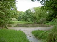 Teich im Lenné Park Blumberg