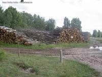 Holzstapel in der Döberitzer Heide