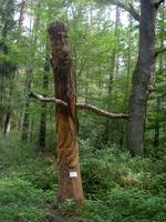 Waldschrat Holzskulptur bei Kähnsdorf