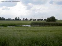 Feuchtbiotop und Windpark Birkholz