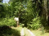 Jägerhochstand am Waldweg im Blumenthal