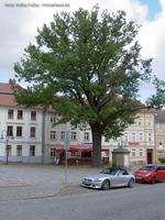 Marktplatz in der Altstadt von Bad Freienwalde