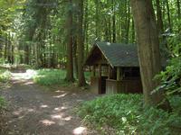 Otto Kühn Hütte am Siebenhügelweg im Bad Freienwalder Wald