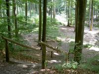 Treppe am Siebenhügelweg im Bad Freienwalder Wald