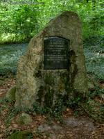 Danckelmannstein am Baasee im Bad Freienwalder Wald