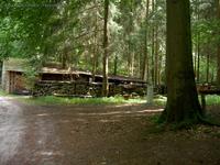 Holzhütte am Baasee im Bad Freienwalder Wald