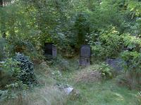 Alte Grabsteine auf dem Friedhof in Steinfurt