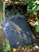 Kindergrab auf dem Friedhof in Steinfurt