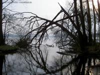 Stranggraben am Stienitzsee