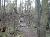 Treppe am Wanderweg am Stienitzsee