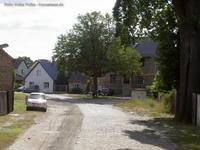 Dorfeiche in Stahnsdorf
