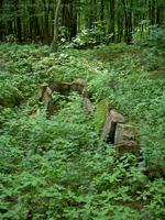 Steinkistengrab bei Tempelberg