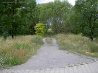 Grünzug im Gewerbegebiet Dahlwitz-Hoppegarten