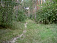 Altlandsberger Forst Spitzmühler Feld