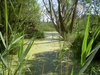 Naturschutzgebiet Biesenthaler Becken